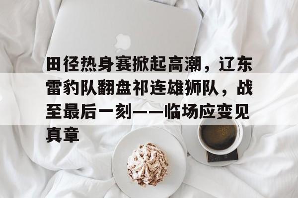 Kaiyun包含田径热身赛掀起高潮，辽东雷豹队翻盘祁连雄狮队，战至最后一刻——临场应变见真章的词条